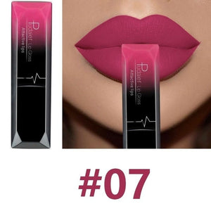 Waterproof Nude Lipstick Long Lasting Liquid Matte Lipstick Kit